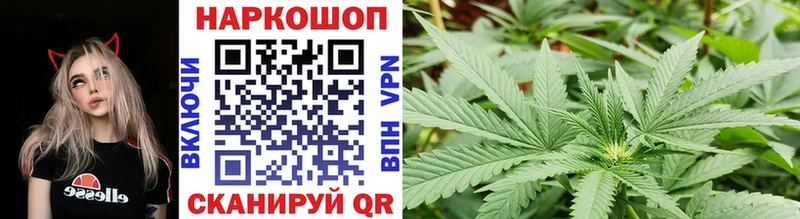 Купить закладку Галлюциногенные грибы  Альфа ПВП  Меф мяу мяу  Cocaine  ГАШИШ  Ижевск