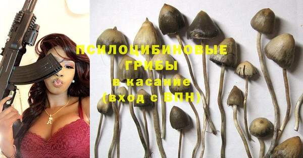 меф Зеленодольск