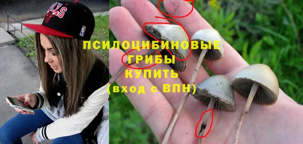 меф Зеленодольск