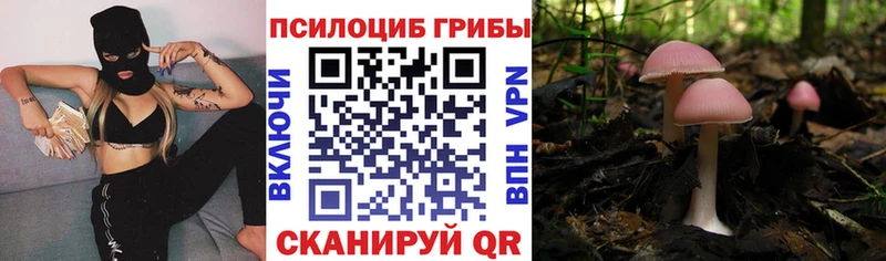 Галлюциногенные грибы Psilocybe  Купить где  Ижевск 
